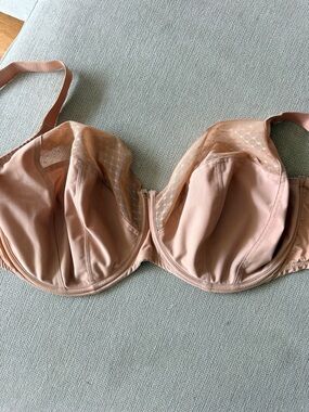 Panache Lingerie Blush Nude Underwire Lace-Trim Bra